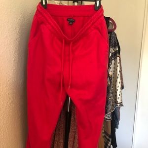 Us polo assn sweat pants